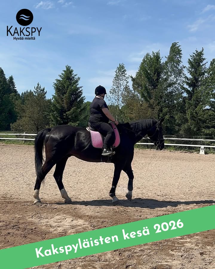 Kakspy